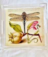 Vassoio 12" JORIS HOEFNAGEL