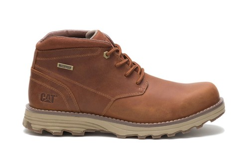 Gatto caterpillar uomo elude - gatto,