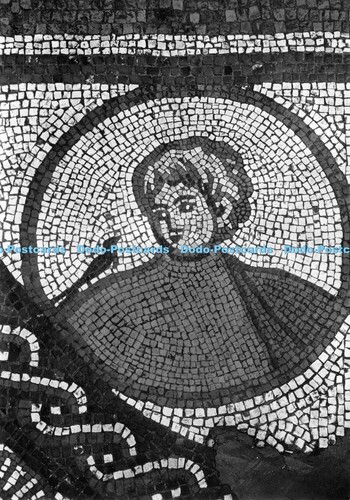 D006773 lullingstone roman - d006773,