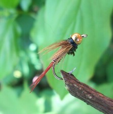 Mosche Gilchrist. 3 ninfe testa d'oro COPPER JOHN. Scelta di misure. Trota