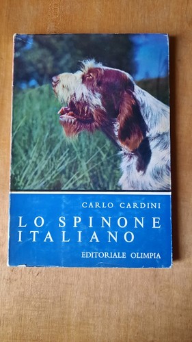 Spinone italiano carlo - lo,
