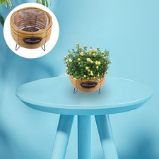 1 Pz Vaso per Bonsai da