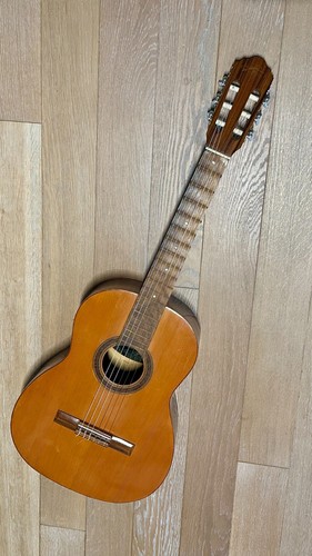 Chitarra acustica giannini - chitarra,