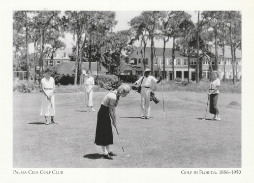 Palma ceia golf club - ceia, club"