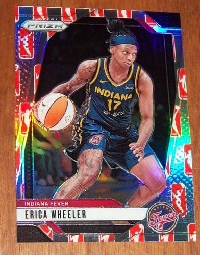 2024 panini wnba prizm basket - panini,