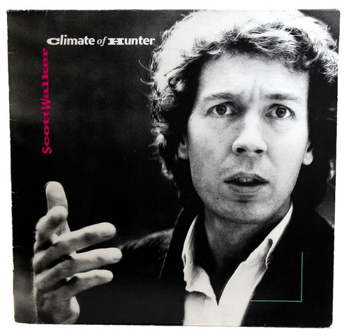 Vinyl scott walker - vinyl,