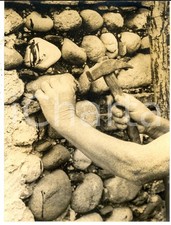 1965 ca MILANO Allegoria del lavoro operaio *Foto ARTISTICA 22x34 cm