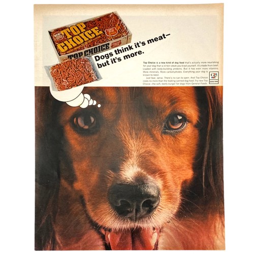 1966 top choice - choice, "tender