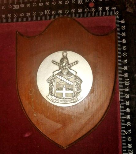 Crest paracadutisti 183 - crest, 183°