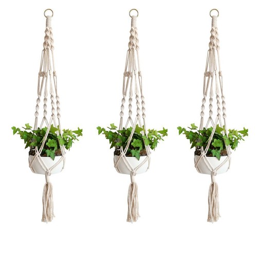Pcs vasi fiori - vasi,