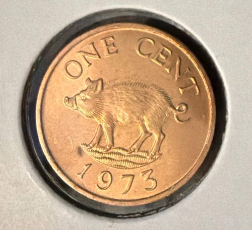 1973 bermuda moneta - bermuda,