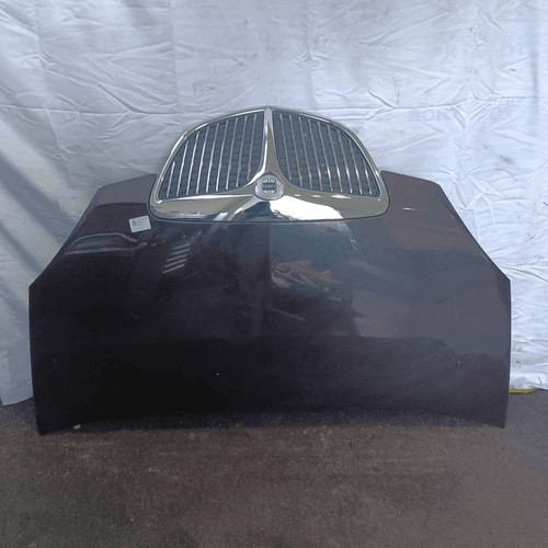 51732277 cofano ant lancia - cofano, ant.