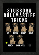 Bullmastiff Trucchi