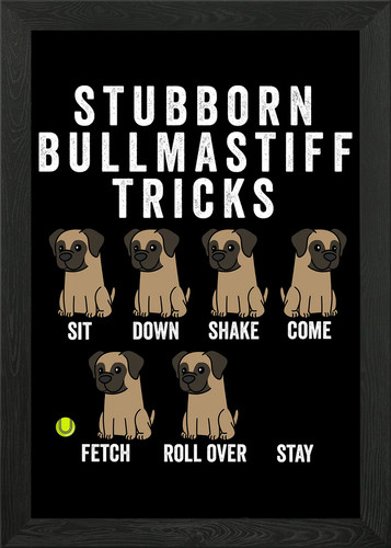 Bullmastiff trucchi - bullmastiff,