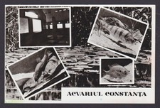 ROMANIA, cartolina d'epoca