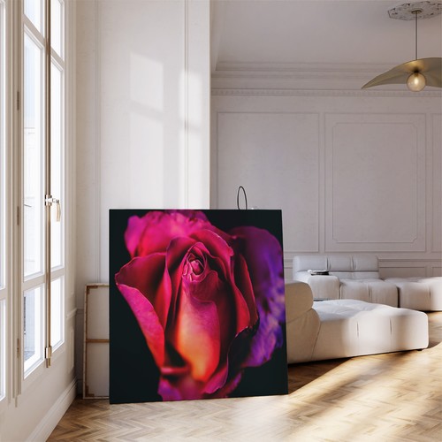 Stampa fiori purple rose - purple, rosa