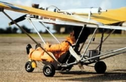 Cloudhopper drago motore - cloudhopper.,