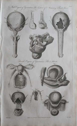 1789 datato antico stampa - datato,
