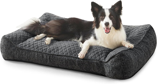 Cuccia cane interno - cane,