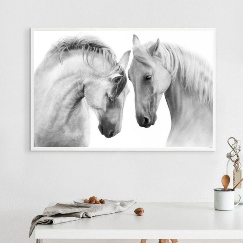 Quadro tela cavallo bianco - su,
