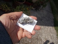 MINERALI C25 Calcite + Pirite