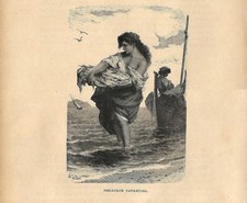 Stampa antica NAPOLI Giovane