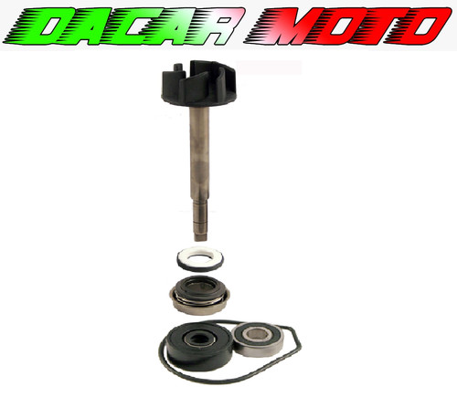 Kit revisione pompa acqua