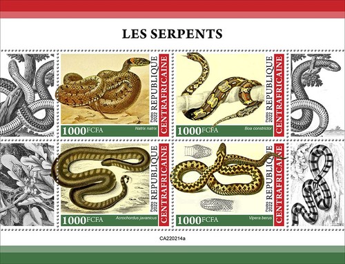 Serpenti