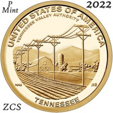 2022 P American Innovation $1
