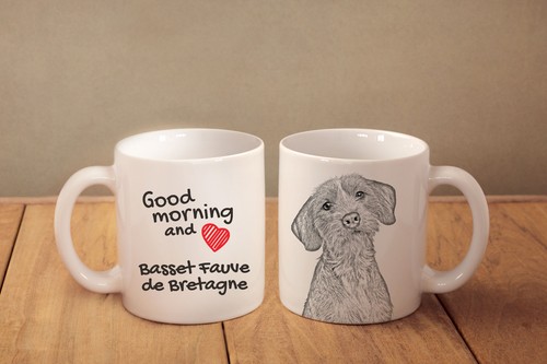 Basset fauve bretagne - fauve,