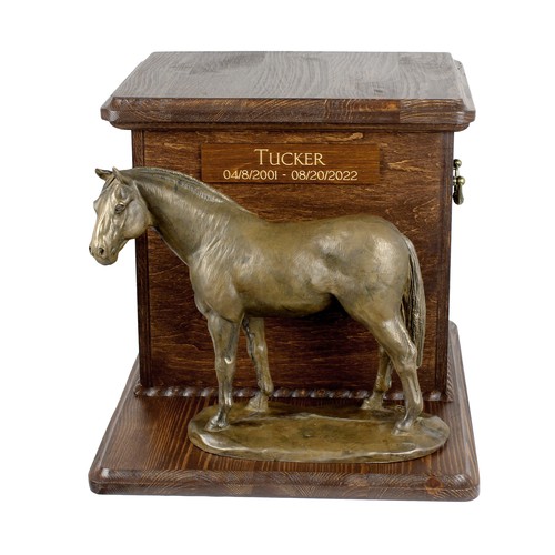 Cavallo hannoveriano grande