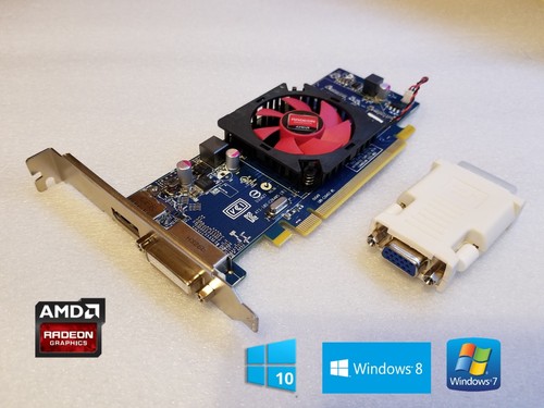 Scheda video windows hp - hd, 10