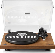 Giradischi Vinile, Giradischi