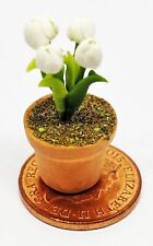 Casa delle bambole mazzo di