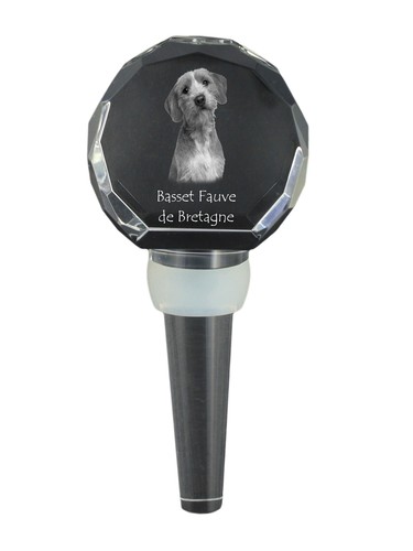 Basset fauve bretagne - basset,