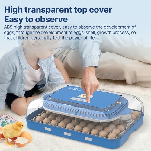 Eggs intelligent home - (uk-2)70,