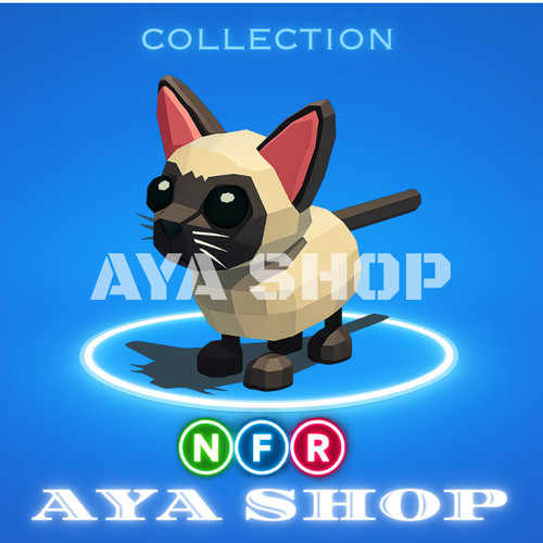 Gatto siamese nfr - siamese,