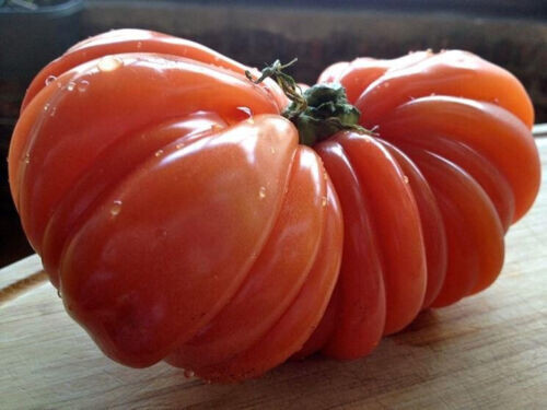 Semi pomodoro cuore di - 50,