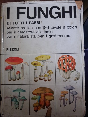 Von frieden funghi - frieden,