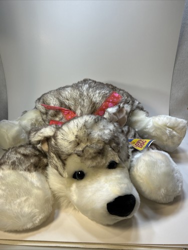 Peluche cane preferito per
