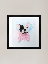 Carino Bulldog francese