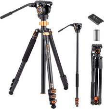 A245P - Treppiede per