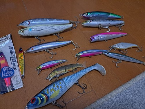 Set esche pesce spigola - pesce, blu