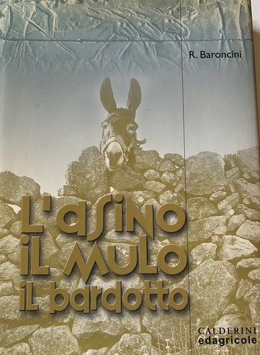 Asino mulo il - il, bardotto