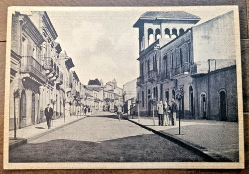 Anni zafferana etnea - anni, 40