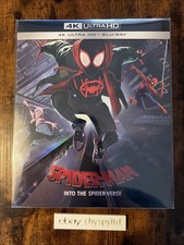 SPIDER-MAN : INTO THE