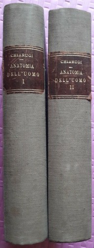 Istituzioni anatomia - di,
