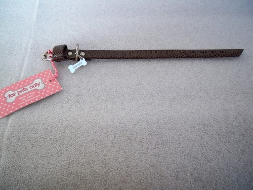 Collare cane play with - collare,