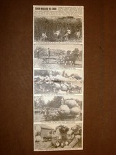 Il miracoloso terreno di