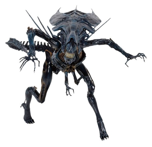Aliens alien queen action - alien,